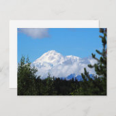 Nature Alaska Denali Landschaft Foto Postkarte (Vorne/Hinten)