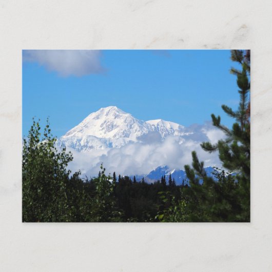 Nature Alaska Denali Landschaft Foto Postkarte (Vorderseite)