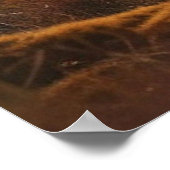 *~* Nature AP49 MOOSE Forest PINES STREAM Poster (Ecke)