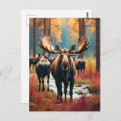*~* Nature AP49 MOOSE Forest PINES STREAM Postkarte (Vorne/Hinten)