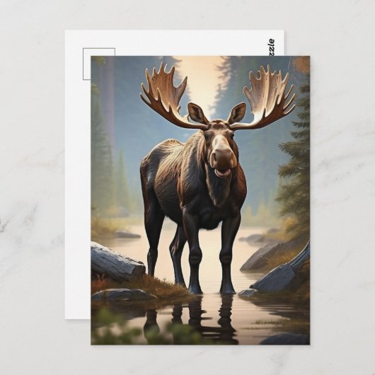 *~* Nature AP49 MOOSE Forest STREAM Woods Postkarte (Vorne/Hinten)