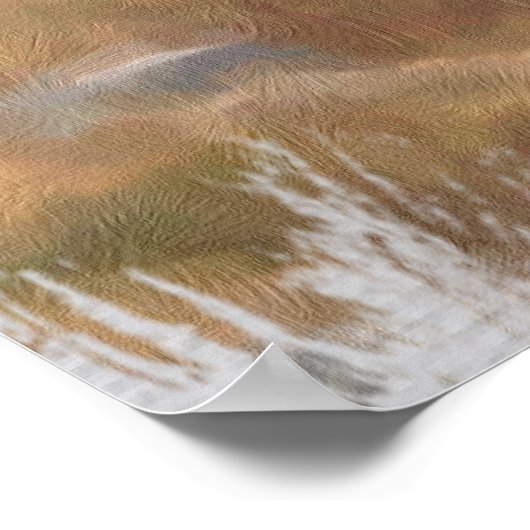 *~* Nature AP49 MOOSE Forest Woods Herd Poster (Ecke)