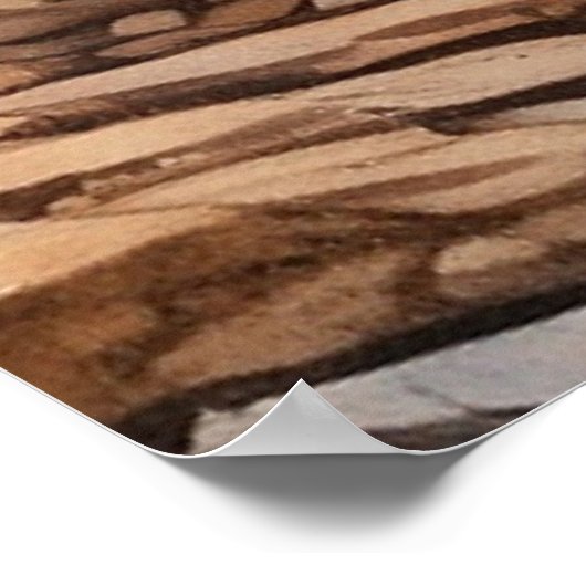 *~* Nature AP49 MOOSE HERD Forest STREAM Poster (Ecke)