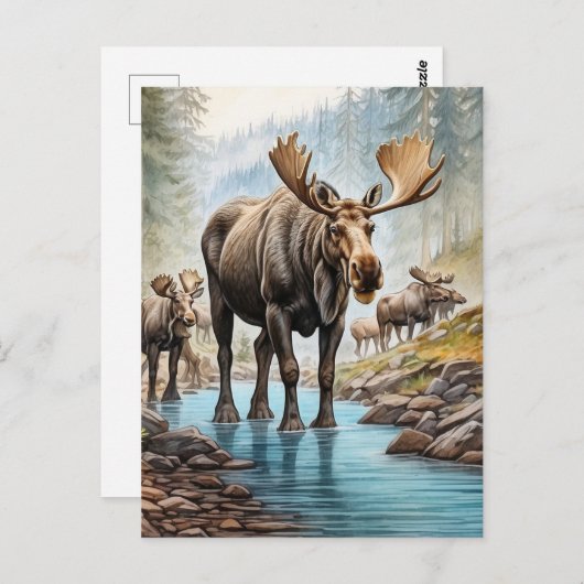 *~* Nature AP49 MOOSE HERD Forest STREAM Postkarte (Vorne/Hinten)