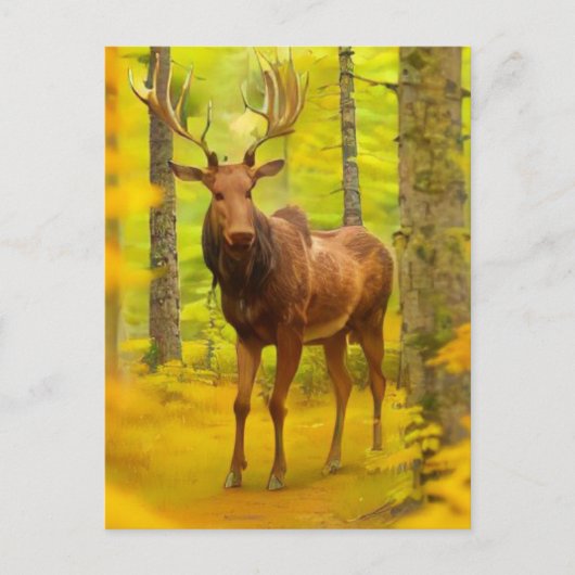 *~* Nature AP49 MOOSE Wald Fall Gelb Postkarte (Vorderseite)