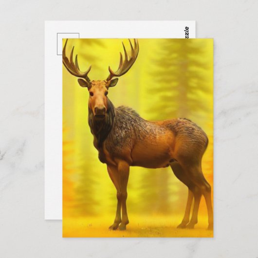 *~* Nature AP49 MOOSE Wald Fall Gelbe Sonne Postkarte (Vorne/Hinten)