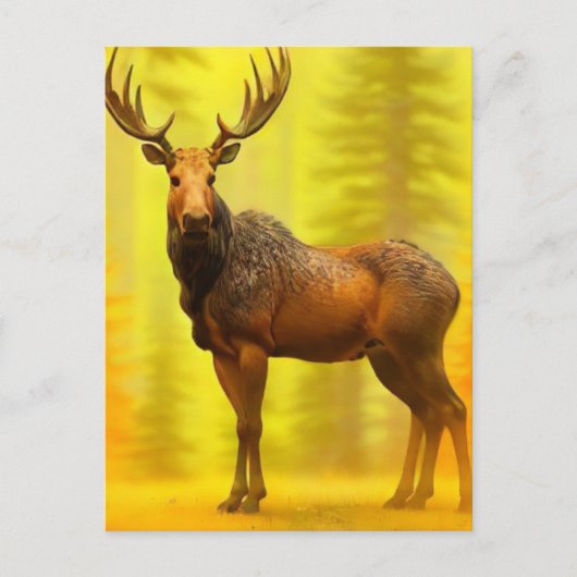 *~* Nature AP49 MOOSE Wald Fall Gelbe Sonne Postkarte (Vorderseite)