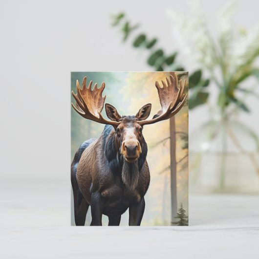 *~* Nature AP49 MOOSE Wald Wald Kletterberg Postkarte (Stehend Vorderseite)