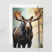 *~* Nature AP49 MOOSE Wald Wald Kletterberg Postkarte (Vorne/Hinten)