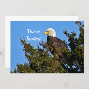 Nature Bald Eagle Wildlife Foto Geburtstag Einladung