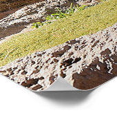 Nature Bengalisch White Tiger Fotografy Poster (Ecke)