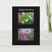 Nature Birthday card Karte (Vorderseite)
