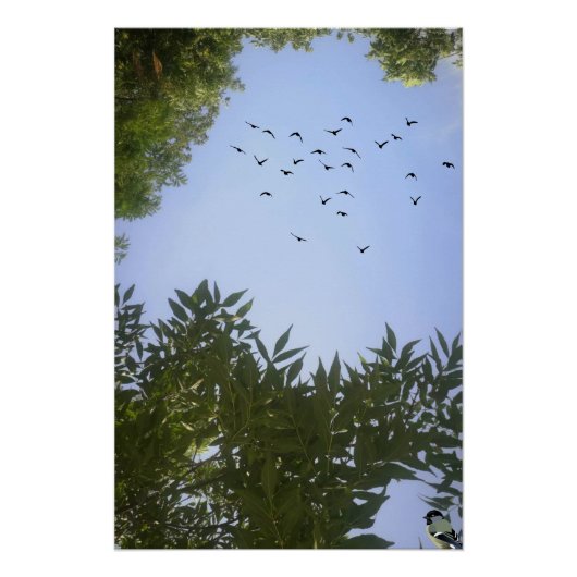 Nature Blue Sky mit Vögeln & Bäumen Poster (Vorderseite)