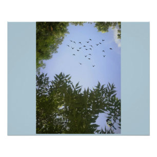 Nature Blue Sky mit Vögeln & Bäumen Poster