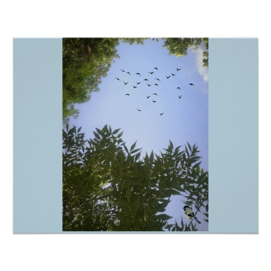 Nature Blue Sky mit Vögeln & Bäumen Poster (Vorderseite)