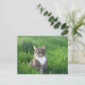 Nature Boy Cat Postcard Postkarte (Stehend Vorderseite)