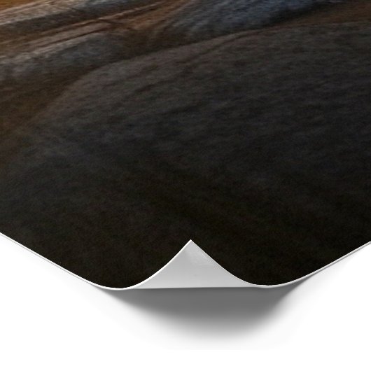 *~* Nature Cabin STREAM AP49 MOOSE Forest Poster (Ecke)