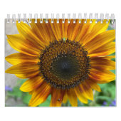 Nature Calendar Kalender (Titelbild)