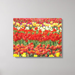 Nature Canvas druckt Tulip Blume Wiese Leinwanddruck