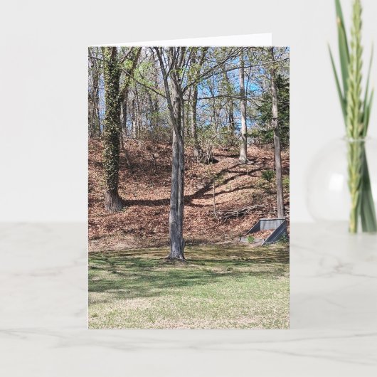 Nature Card Karte (Vorderseite)