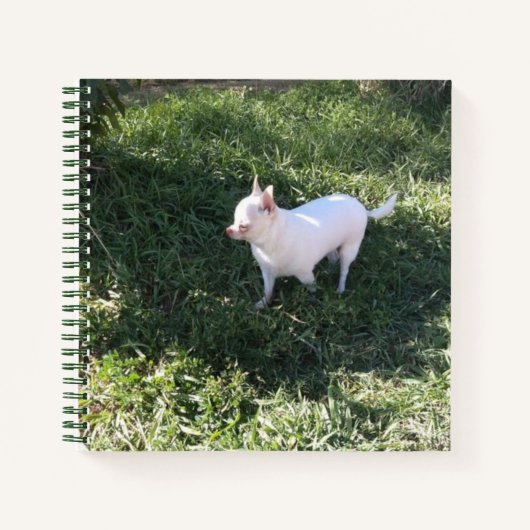 Nature Chihuahua Spiral Notebook Notizblock (Vorderseite)