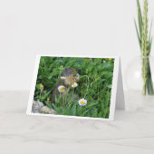 Nature Climate Note Card Dankeskarte (Vorderseite)