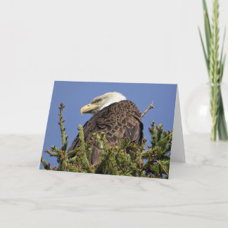Nature Climate Note Card Dankeskarte