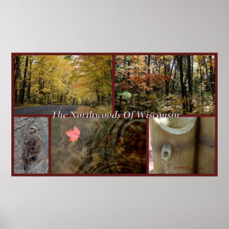 Nature Collage Print Northwoods Wisconsin Saison Poster