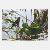 Nature Critters Wrapping Paper Sheets Geschenkpapier Set (Vorderseite 2)