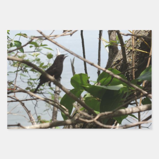 Nature Critters Wrapping Paper Sheets Geschenkpapier Set (Vorderseite 2)