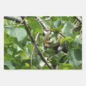 Nature Critters Wrapping Paper Sheets Geschenkpapier Set (Vorderseite)