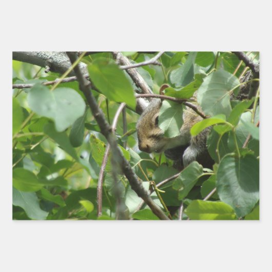 Nature Critters Wrapping Paper Sheets Geschenkpapier Set (Vorderseite)