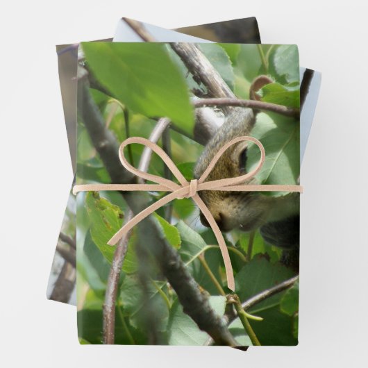 Nature Critters Wrapping Paper Sheets Geschenkpapier Set (Beispiel)
