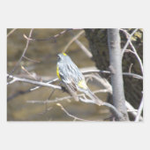 Nature Critters Wrapping Paper Sheets Geschenkpapier Set (Vorderseite 3)