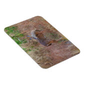 Nature Deer Doe Wildlife Foto Lake Arrowhead Ga. Magnet (Rechte Seite)