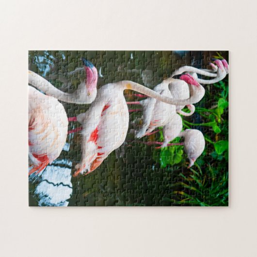Nature Flamingo Puzzle (Horizontal)