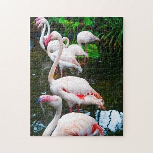Nature Flamingo Puzzle (Vertikal)