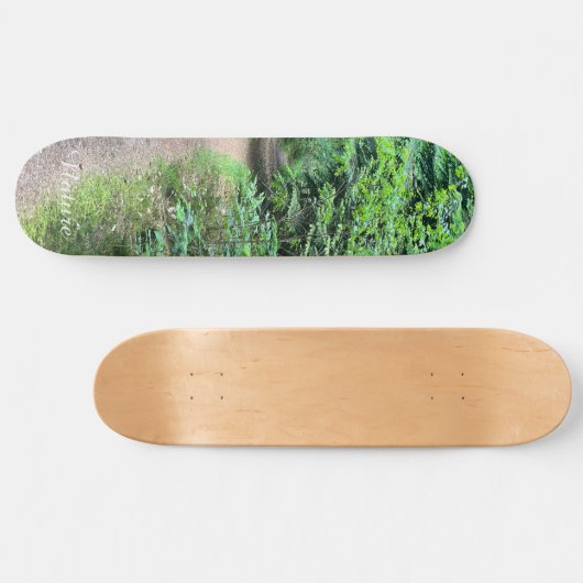 Nature Forrest Skateboard (Horizontal)