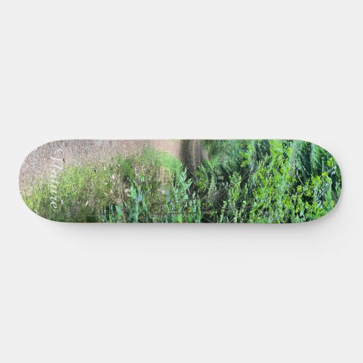 Nature Forrest Skateboard (Horizontal)