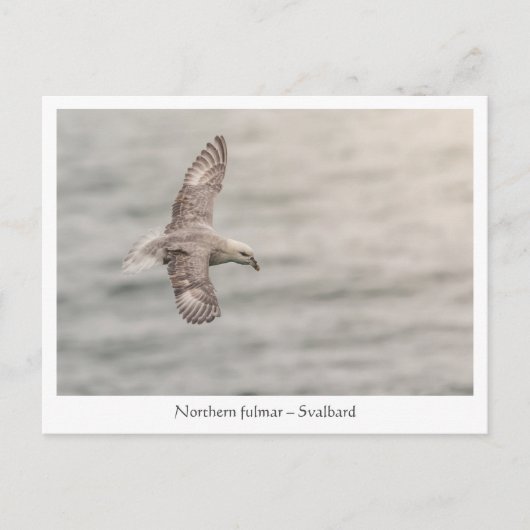 Nature Foto Nord Postkarte (Vorderseite)