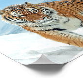 Nature Foto Schnee Winter Tiger Berge Printing Poster (Ecke)
