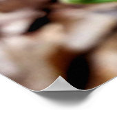 Nature Fotografy, FIddlehead Fern in Springtime Poster (Ecke)