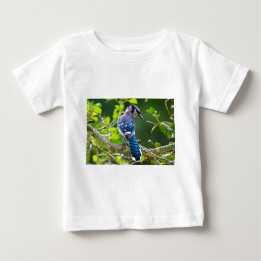 Nature Fotografy Shy Blue Jay Apparel Geschenke Baby T-shirt (Vorderseite)