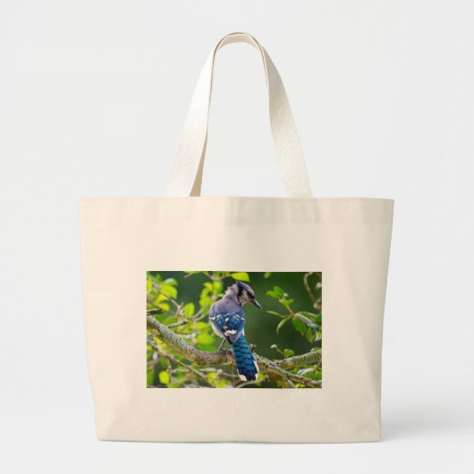 Nature Fotografy Shy Blue Jay Apparel Geschenke Jumbo Stoffbeutel (Vorne)