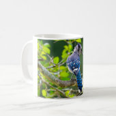 Nature Fotografy Shy Blue Jay Apparel Geschenke Kaffeetasse (Vorderseite Links)