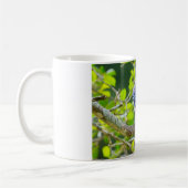 Nature Fotografy Shy Blue Jay Apparel Geschenke Kaffeetasse (Links)