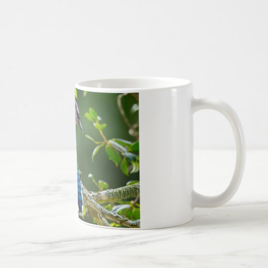 Nature Fotografy Shy Blue Jay Apparel Geschenke Kaffeetasse (Rechts)