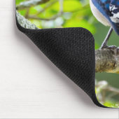 Nature Fotografy Shy Blue Jay Apparel Geschenke Mousepad (Ecke)