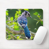 Nature Fotografy Shy Blue Jay Apparel Geschenke Mousepad (Mit Mouse)