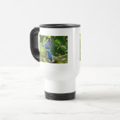 Nature Fotografy Shy Blue Jay Apparel Geschenke Reisebecher (Vorderseite Links)